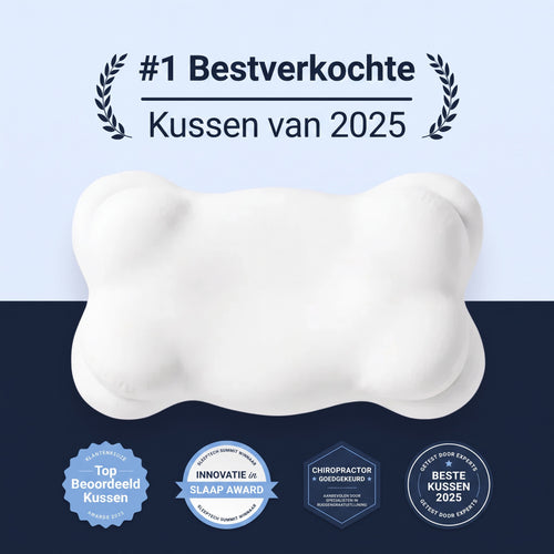 Cloud Nest Pillow